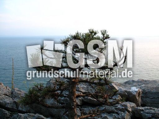 Italien Friaul Kliffe von Duino Rilke-Weg 016.JPG